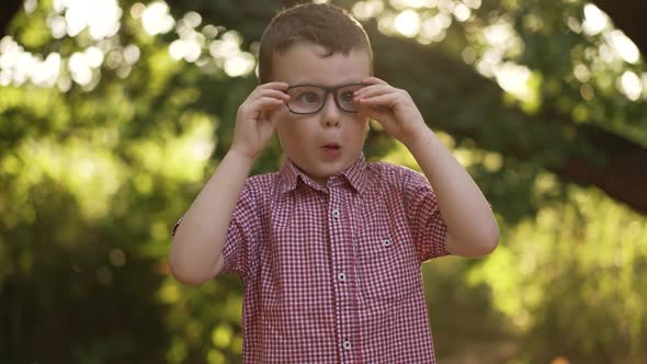 Cute Small Boy in a Glasses