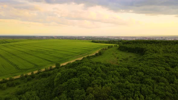 Aerial Landscape View of Green Cultivated Agricultural Fields with Growing Crops on Bright Summer