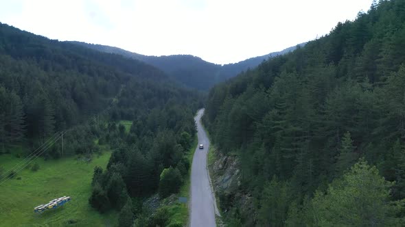 Zlatibor Mountain Landscape Nature Car Drive Wildlife 9