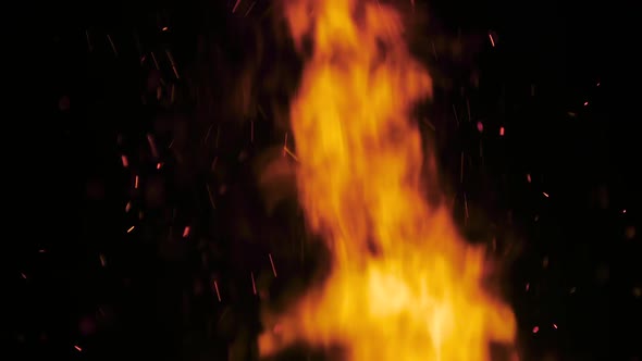 Big Bonfire Burning Fire Against Black Background