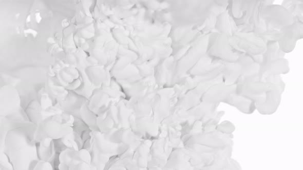 Super Slow Motion Shot of Abstract White Ink Flowing in Water at 1000Fps