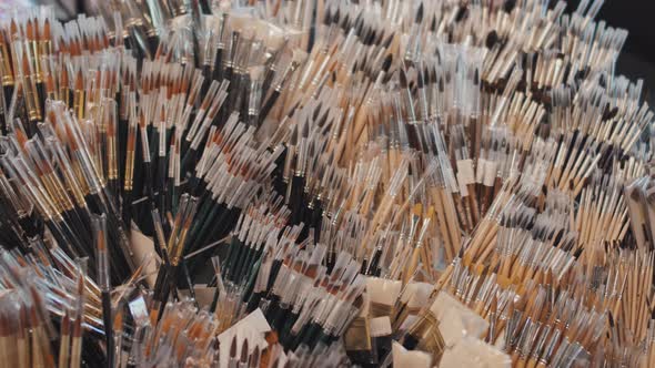 Lots of Paint Brushes