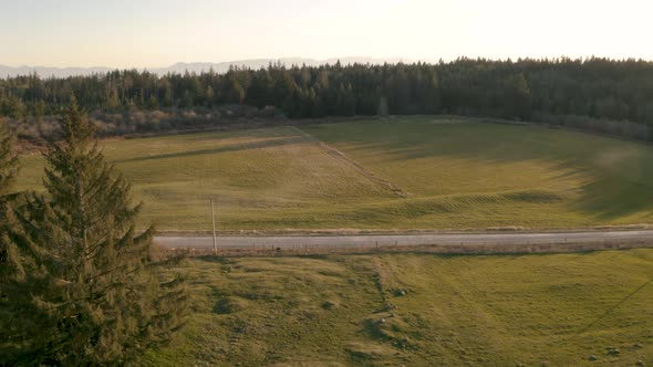 aerial video of a black truck speeding on a dirt road in the middle of a forest Sunshine Coast Briti