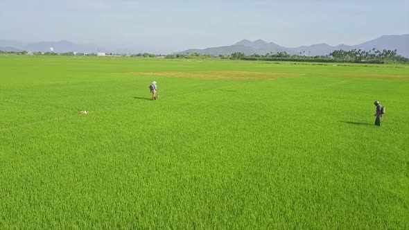 Drone Shows Local Men Sprinkling Field Against Pests By Hills