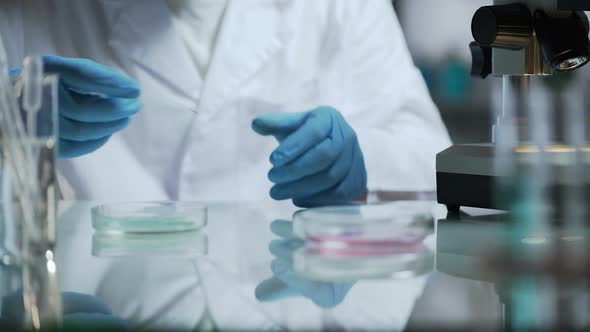 Lab Assistant Preparing and Disinfecting Microscope Slides Before Researching