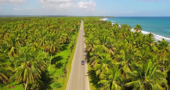 Majestic shot at the entrance of Nagua, Maria Trinidad Sánchez Province, with a view of the coconut