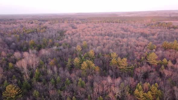 Beautiful autumn forest landscape of Leota, Michigan -aerial pan