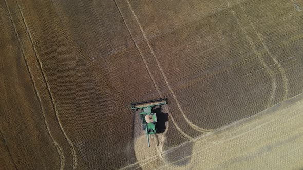 Combine harvester working through a crop of wheat on a rural farm. Wide angle aerial birds eye view