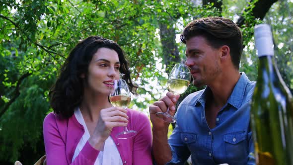 Happy couple having white wine in park