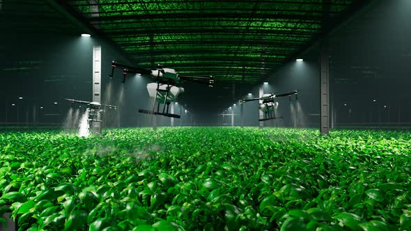 Animation with drones spraying health plant products on a plantation at night.