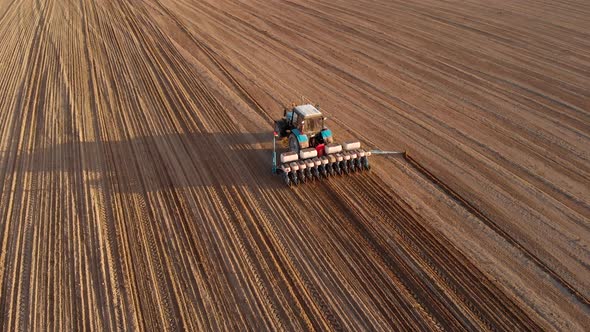 Tractor with a Seeder Plants Row Crops, Fertilizes the Soil, Marks a Landmark for Rowness