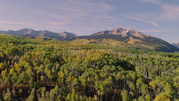 Aspens turning on Kebler Pass, Colorado