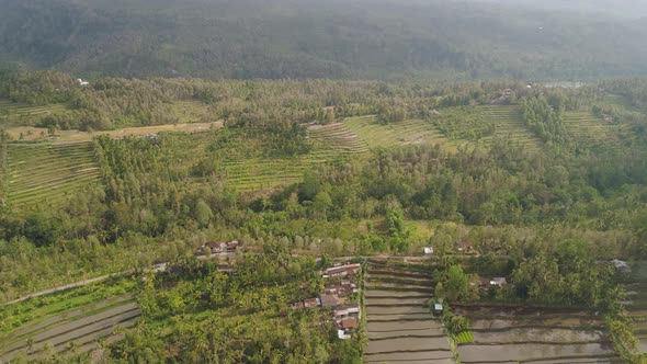 Tropical Landscape with Agricultural Land in Indonesia