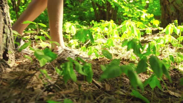 Legs Closeup Carefully Walking on the Grass in the Forest in Sunlight Unopened Flowers