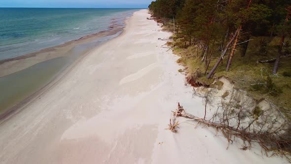 Aerial view of Baltic sea coast on a sunny day, steep seashore dunes damaged by waves, broken pine t