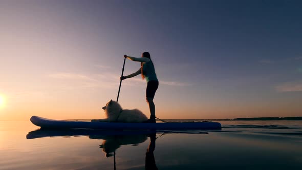 Young Woman and a Dog Supping Together on a River.