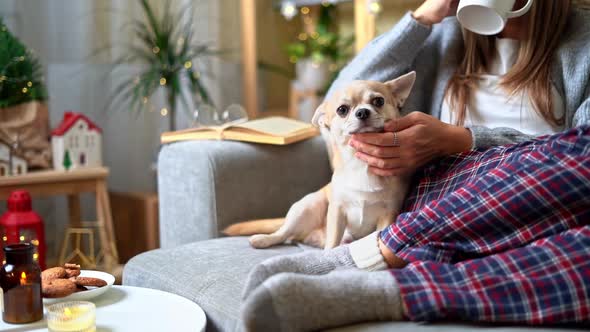 Cozy Vibes with dog and cup