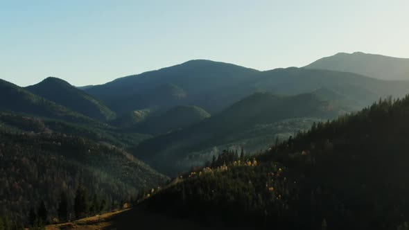 Amazing Drone View of Hills Covered with Green Trees Against Cloudless Blue Sky on Sunny Day in