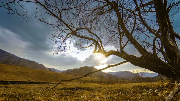 Time Lapse of Death Tree and Dry Yellow Grass at Mountian Landscape with Clouds and Sun Rays