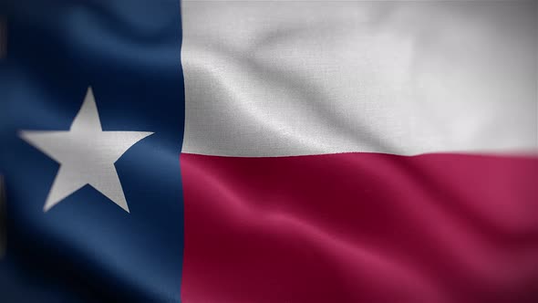 Texas State Flag Front