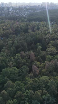 Aerial View of the Border of the Metropolis and the Forest