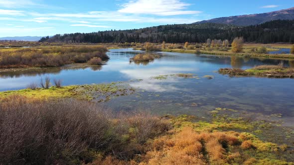 Flying low over pond on sunny day in Wyoming