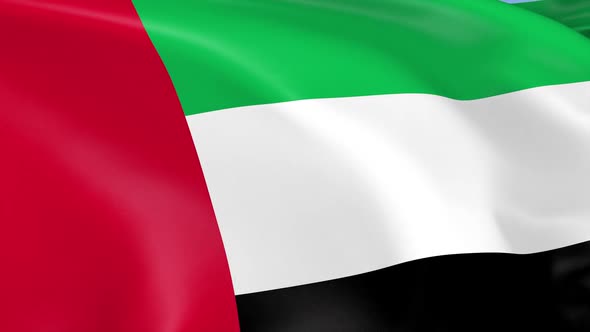 United Arab Emirates Flag