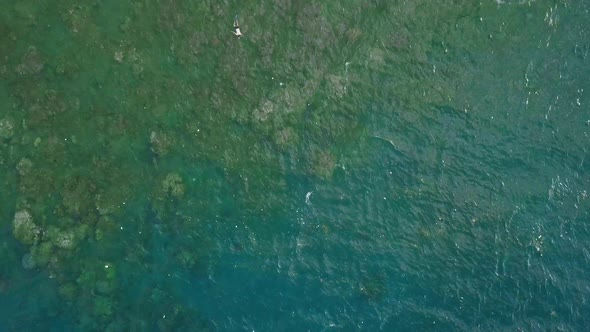 Top Down at Clear Blue Sea Water with View of Coral Reef Underwater.