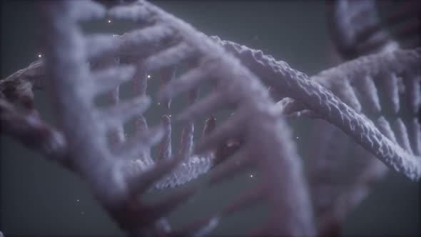 Double Helical Structure of Dna Strand Close-up Animation