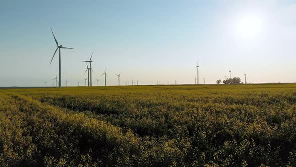 General view of wind turbines in countryside landscape with cloudless sky