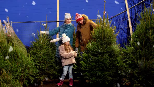 Happy Family Choosing Christmas Tree at Market