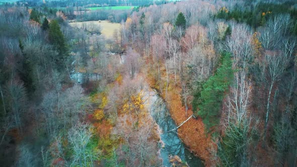 River and Colorful Forest Woodland at Autumn Trees Forest Landscape Aerial Shot