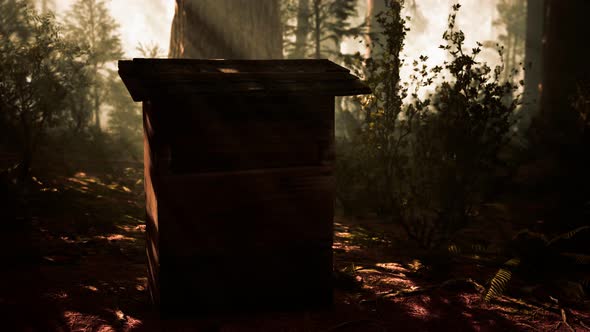 Old Wooden Beehive in Forest in Fog