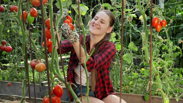 Happy Smiling Female Farmer Picking Ripe Red Tomato and Smelling It in Garden