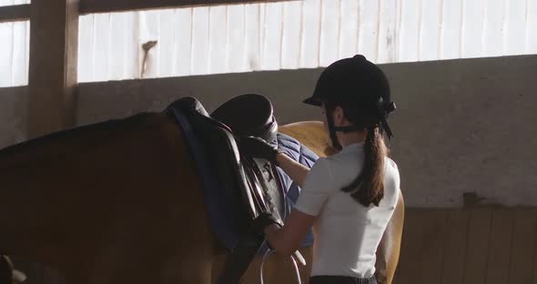 Young Female Rider Harnesses the Horse and Tightens the Saddle in a Covered Hangar