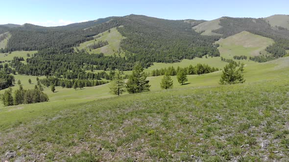 Green Meadows in The Sparsely Wooded Between Forest Covered Hills with Aerial View