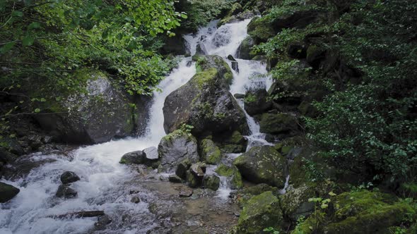 Water falling through the rainforest