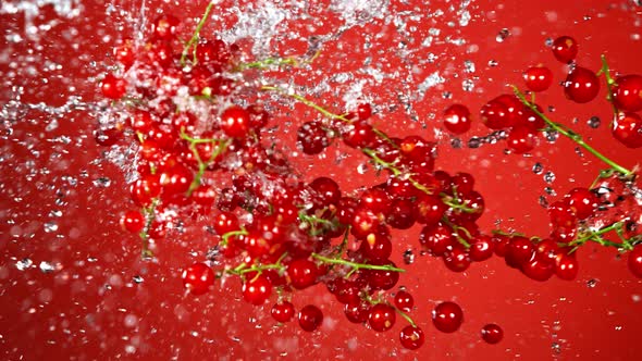 Super Slow Motion Shot of Red Currants and Water Side Collision on Red Background at 1000Fps
