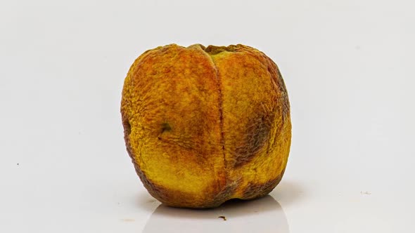 Time Lapse of Peach Rotting on a White Background, the Process of Decomposition and Decay, Shooting