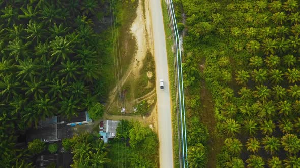 Cinematic Drone Footage of white Mazda Light Vehicle sequences in the middle of the jungle surrounde