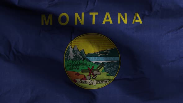 Montana State Flag 4K