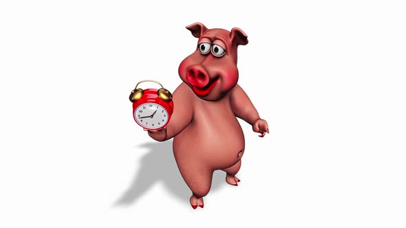 Fun 3D Pig Show Clock  Looped on White