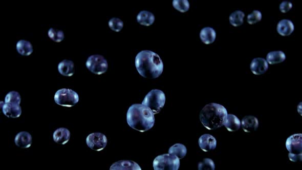 Blueberry Bouncing on a Black Background