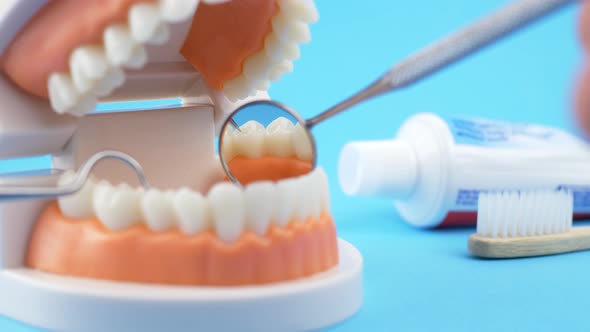 Doctor Examining Patient's Teeth