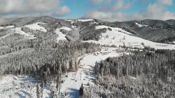 Winter Forest