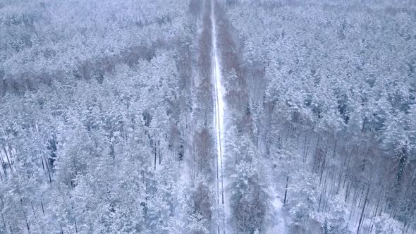 winter forest drone flight trees in the snow winter road among the forest