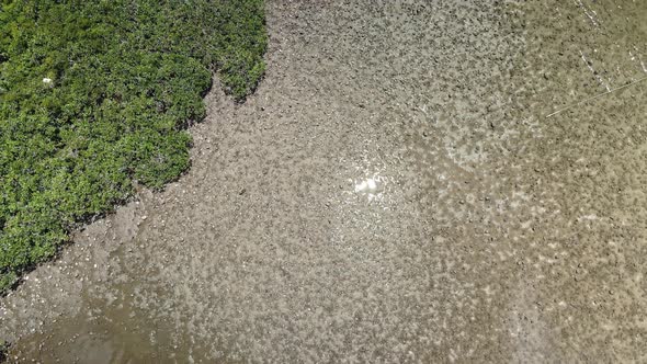 4K Aerial view of Mangrove Forest inside the Hong Kong UNESCO Global Geopark in Sai Kung