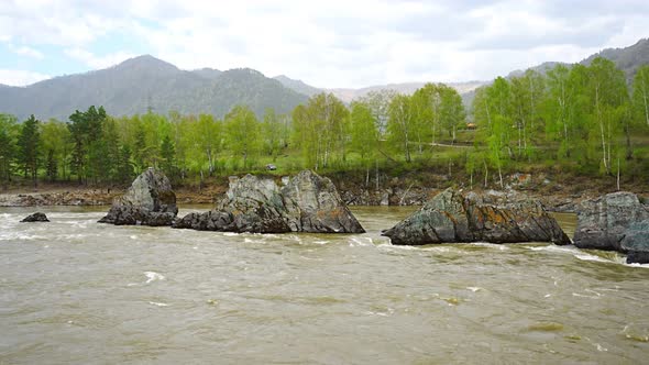 Remarkable Natural Objects Dragon Teeth in Katun River of Altai Mountains with Beautiful Taiga Area