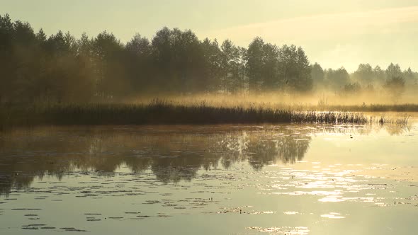 Amazing sunny early morning golden countryside landscape