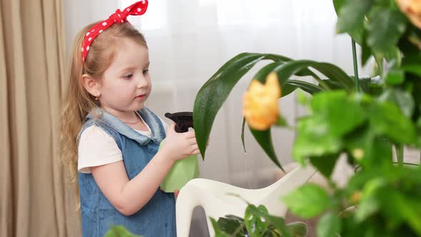 a Little Pretty Girl Sprays the Houseplant with Water